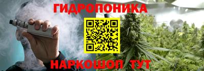 амф Краснознаменск